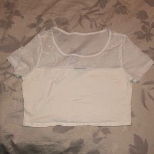Sheer topped crop top